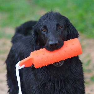 Dogman dummie flytende hundeleke, 26 cm