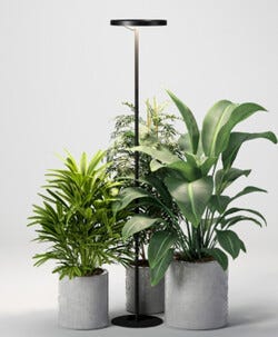 Växtbelysning golvlampa med timer, höjd 164,5 cm