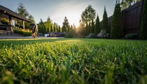 Mammotion Luba 3 AWD AI robotgräsklippare, 10000 m²