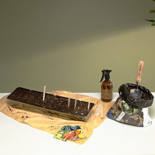 Minidrivhus 36 plantor