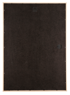 Fotoram Tallinn, furu