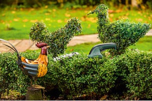 Monitoimitrimmeri EasyShear Bosch 3,6 V