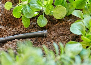 Gardena pluggar 3/16 tum till Micro-Drip, 10-pack