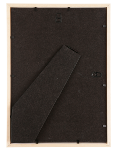 Fotoram Tallinn, furu