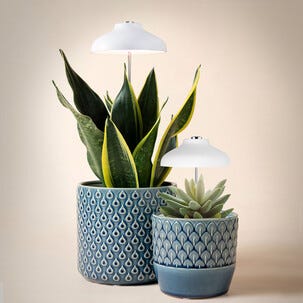 LED-plantelys på spyd til potter, med USB og teleskopfunksjon, hvitt