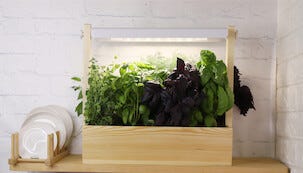 Drivbänk inomhus LED och timer, vit/trä