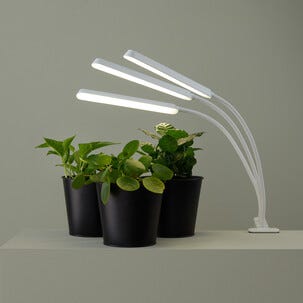 Kasvivalo LED 3 vartta ja nipistin