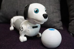 Silverlit Robo Dackel Jr interaktiv robothund, från 5 år