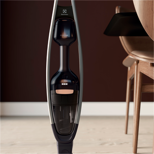 Electrolux Pure Q9 PQ91-40GG, skaftdammsugare 