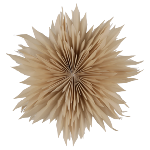 Adventsstjärna veckat papper beige 50 cm Northlight