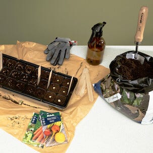 Weibulls såjord frö, stickling och kaktus, 8 liter