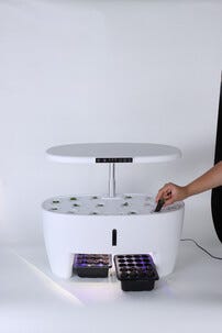 Sett for hydroponisk dyrking med 16 plugger, innendørs