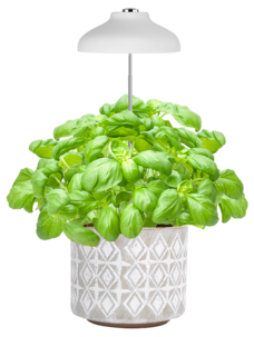 LED-plantelys på spyd til potter, med USB og teleskopfunksjon, hvitt