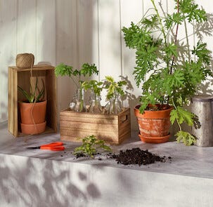 Trälådor  med handtag, 2-pack