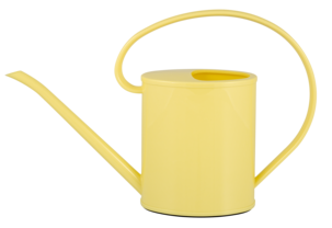 Vattenkanna