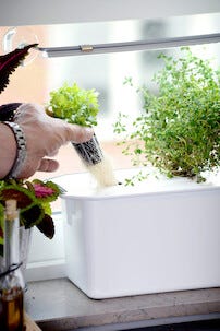 Hydroponiskt odlingskit Harvy 3, 3 delar