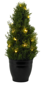 Tuja med LED-belysning