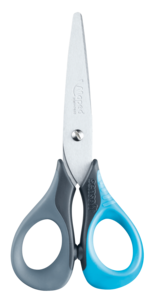 Barnsax Maped Sensoft 3D