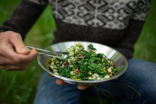 Primus CampFire Plate Lautanen, ruostumaton teräs, 21 cm, 1 kpl