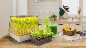Kasvatusalusta microgreens, pieni kasvihuone LED, 8 W