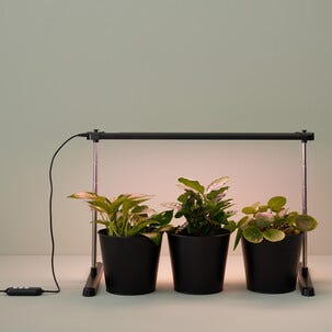 LED-vekstlys med stativ og timer, svart
