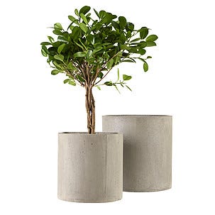 Blomkruka av betong 2-pack