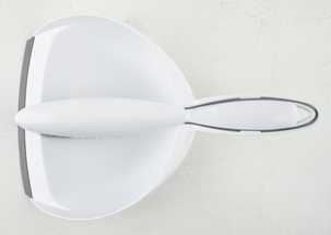 Rikkalapio ja -harja