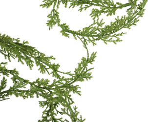 Girlang Thuja inomhus, 2 m