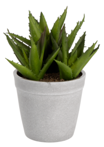 Aloe vera konstväxt, 17 cm