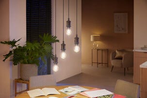 Philips Hue WA E27 LED normalpære 7 W Bluetooth