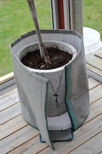 Nelson Garden vinterbeskyttelse til potte, 45 x 50 cm