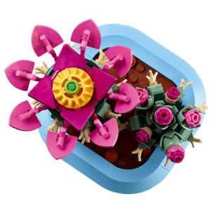 LEGO Botanicals Blommande kaktus 11509, från 9 år