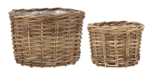 Blomkrukor av rotting