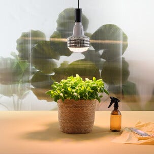 LED-kasvivalo E27 täysi spektri, kasvilamppu, 60 W