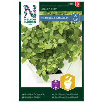 Nelson Garden Balkong Star småbladig basilika frö