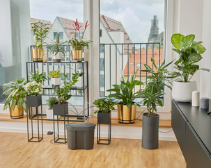 Gardena vannbeholder AquaBloom, 10,5 liter