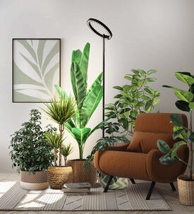 Växtbelysning golvlampa med timer, höjd 164,5 cm