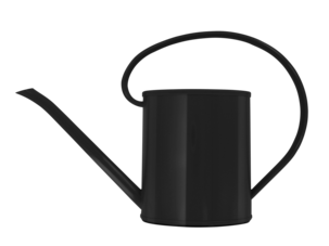 Vattenkanna