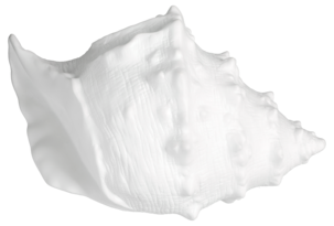 Pöytävalaisin Snäcka posliinia, Northlight