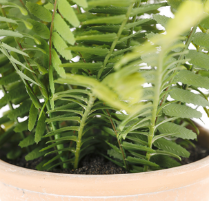 Ormbunke konstväxt, 46 cm