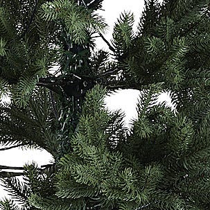 Julgran med inbyggd belysning, 210 cm Northlight