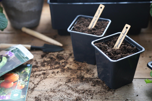 Nelson Garden små firkantede plastpotter, 25-pakning