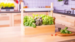 Drivbänk inomhus LED och timer, vit/trä