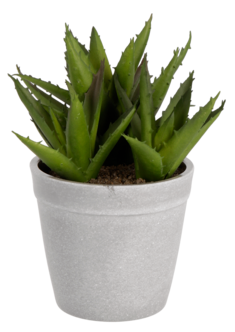 Kunstig Aloe Vera, 17 cm
