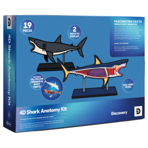 Discovery 4D Shark Anatomy Kit byggesett hai, fra 6 år