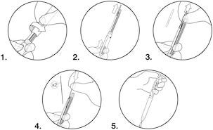 Kulspetspenna Bic 4 colours 3+1 HB