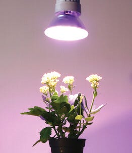 Växtlampa LED E27 PAR38