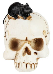 Dekoration till halloween