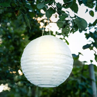 Northlight solcellelykt rislampe, hvit