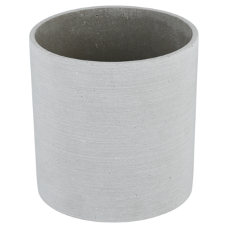 Blomkruka inomhus grå